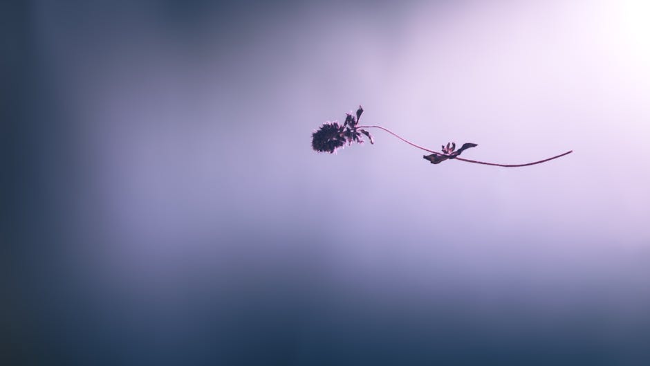 A minimalist capture of a single plant stem against a soft, blurred background.