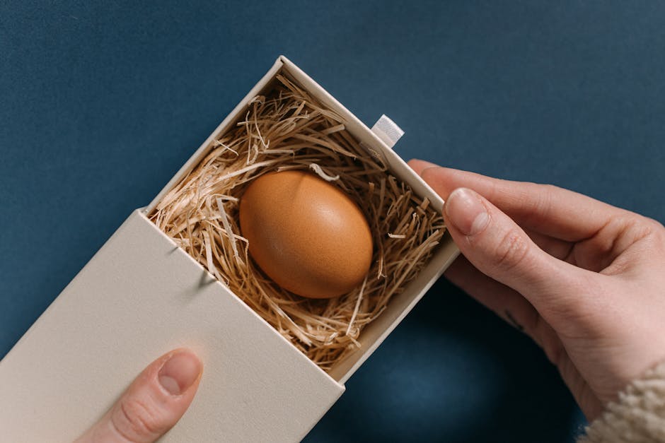 A close-up shot of an egg nestled in straw inside a small open box, held by hands.