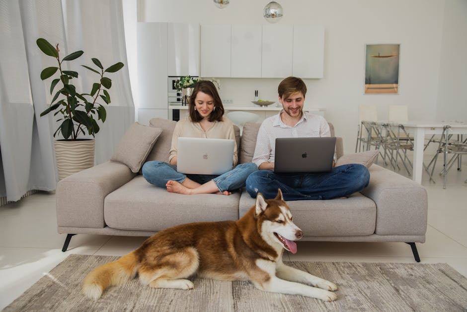 Happy couple using laptops on sofa with their husky dog in a stylish living room.